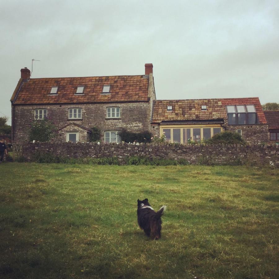 Bed and Breakfast Castle Farm Wedmore Екстер'єр фото